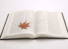 欢迎使用Z-BlogPHP！